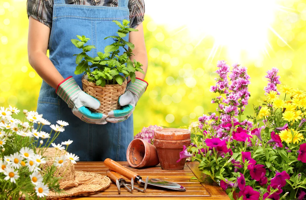 planting spring flowers