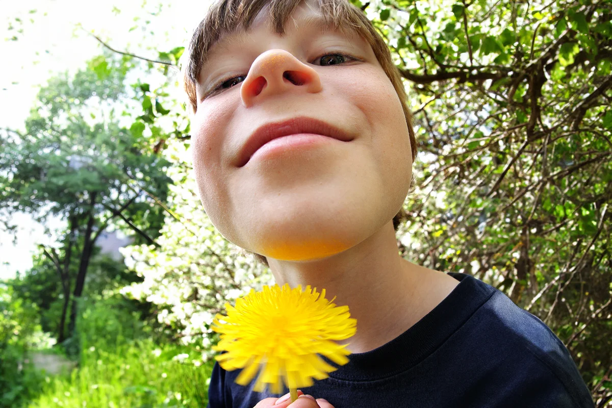 Dandelions can tell if you like butter