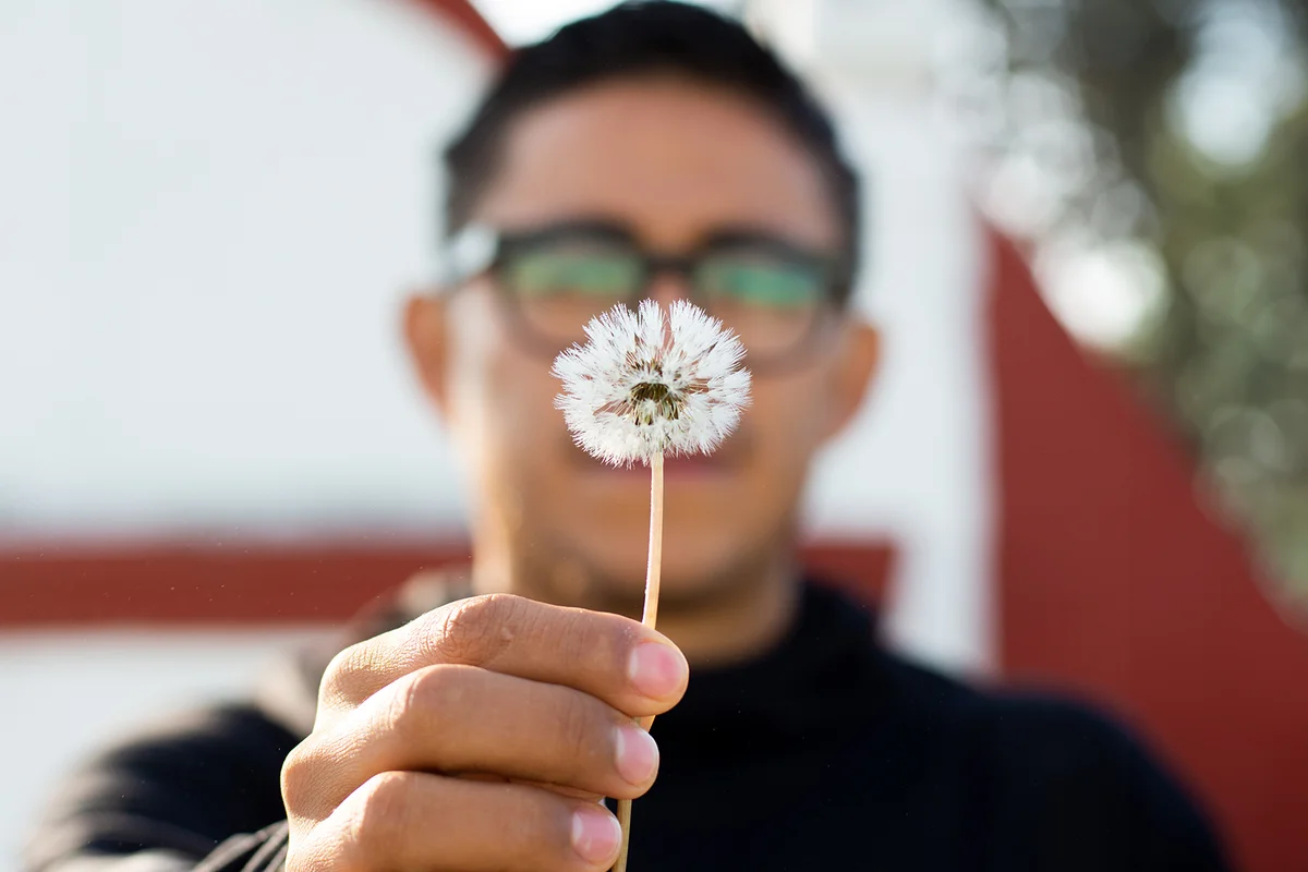 Man holds a dandelion close up
