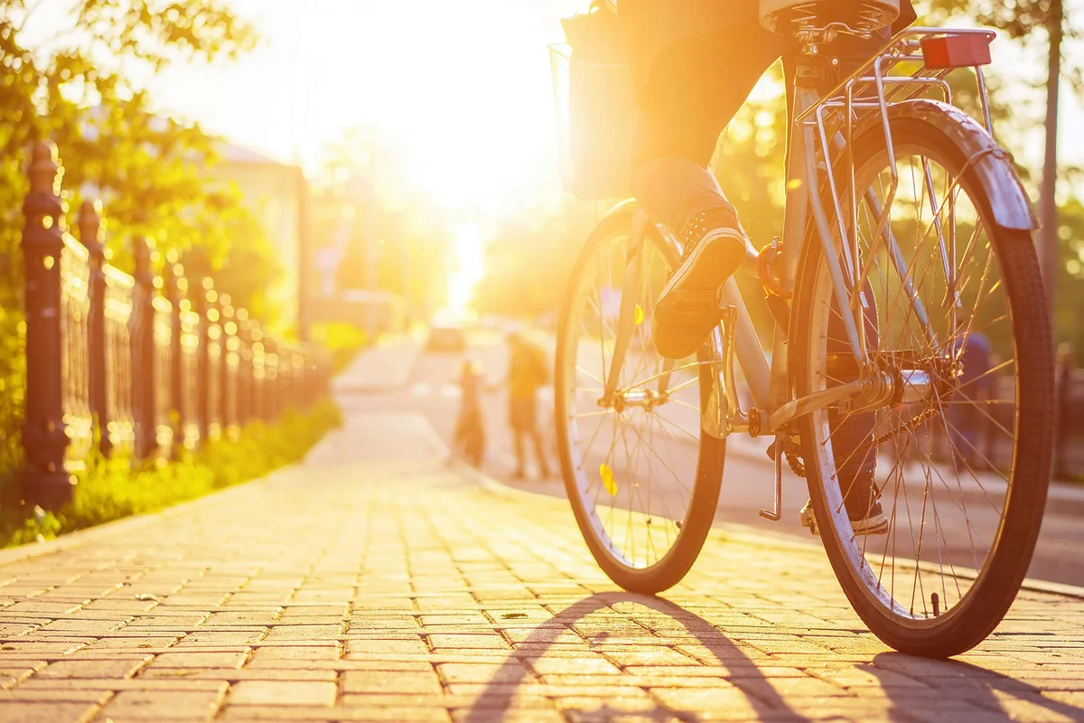 Bike at the summer sunset on the tiled road in the city park