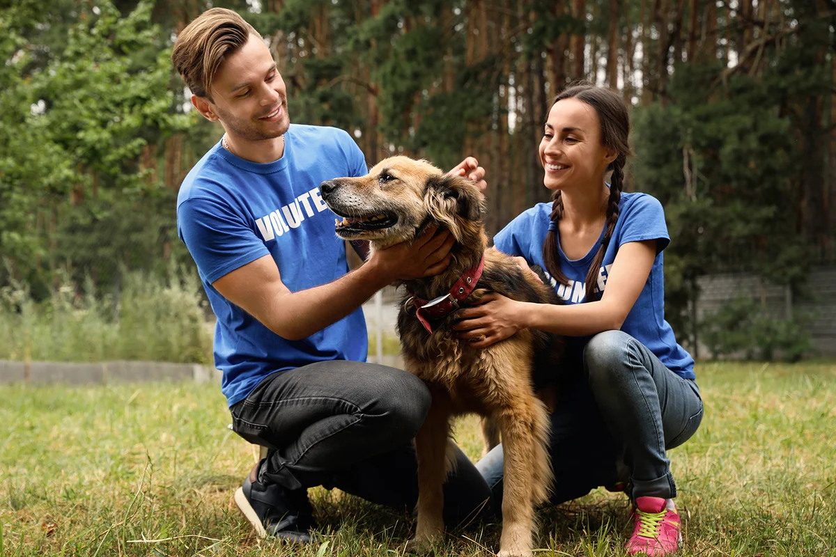 Volunteers with homeless dog at animal shelter outdoors