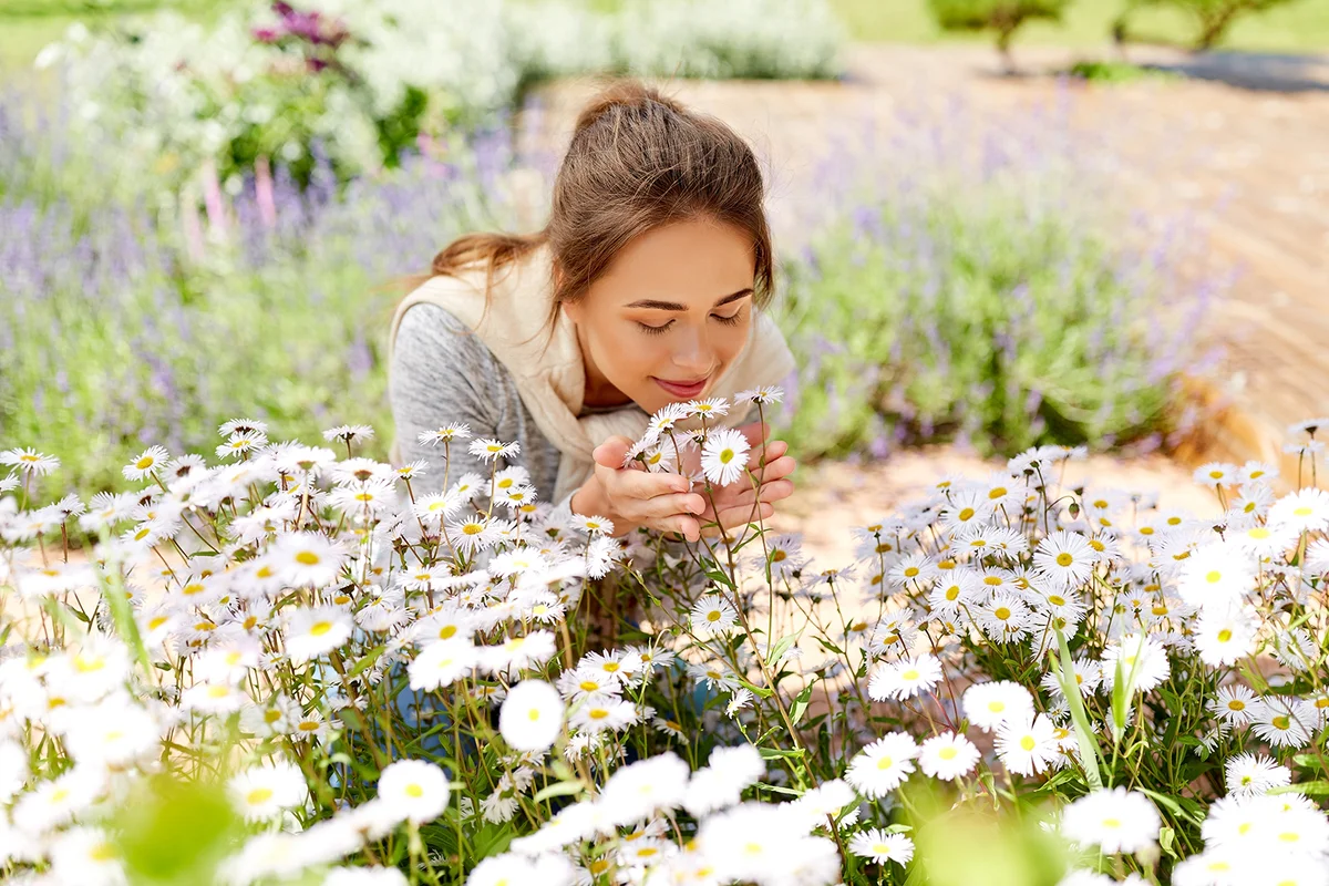 young woman smelling chamomile flowers at summer garden