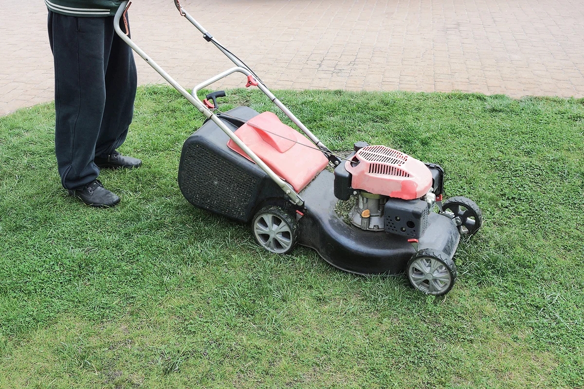a man with a lawnmower mows green grass on a brown sidewalk