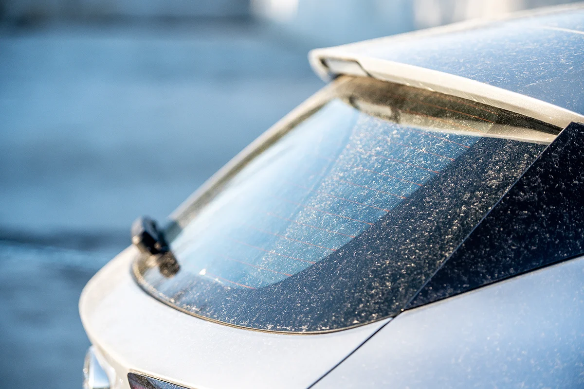Pollen on the hood of a car.