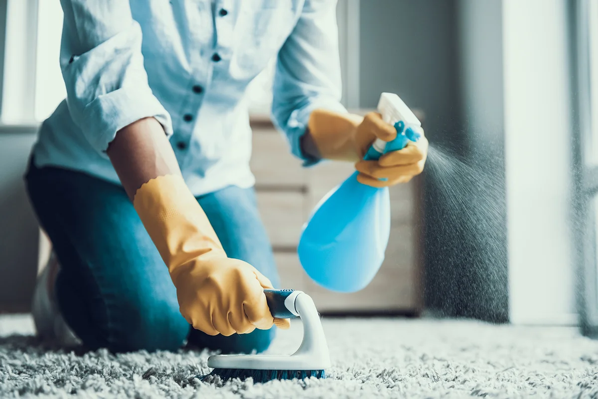 Woman Cleaning Carpet with Brush