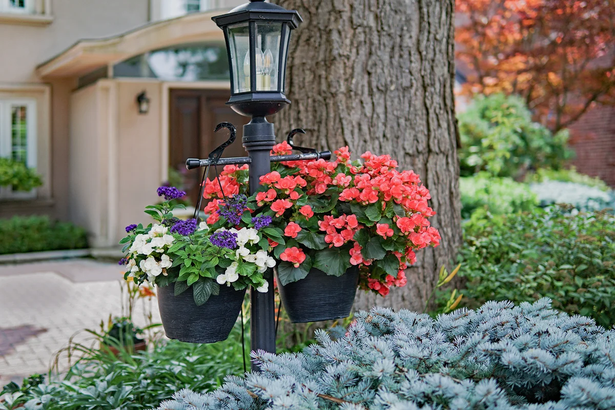 ornamental hanging baskets of flowers on a lamp post in front of a house