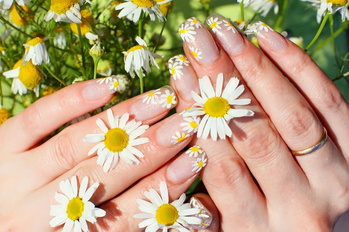 Nail art design. Woman hands with camomile flowers