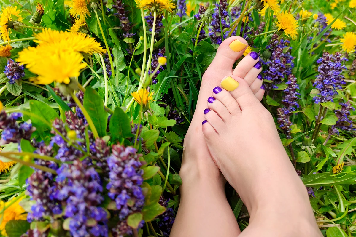 Beautiful multi-colored yellow, blue, purple pedicure on a female feet with different summer flowers on the field