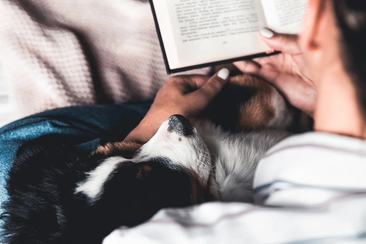 woman and dog