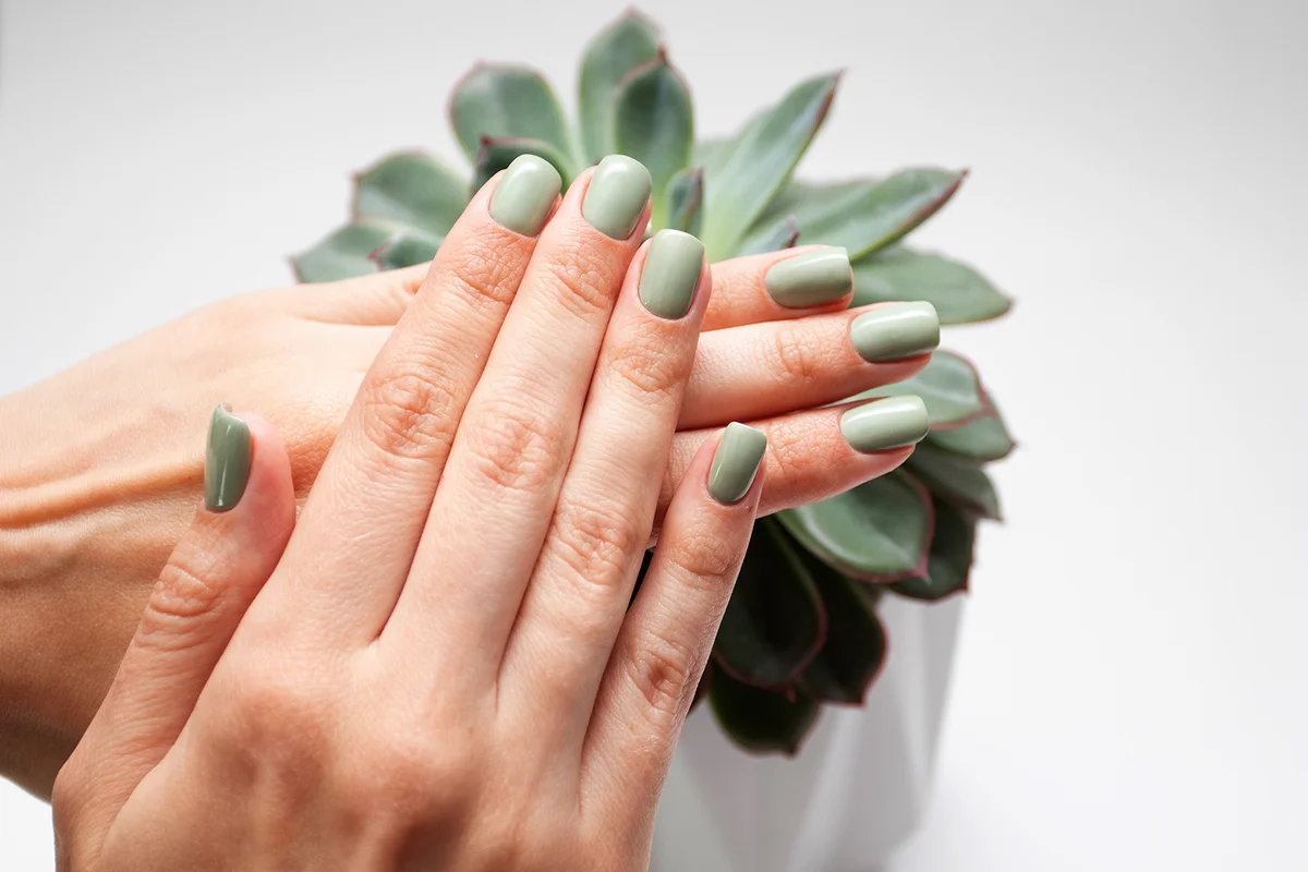 Beautiful womans hands with summer nail on green succulent background