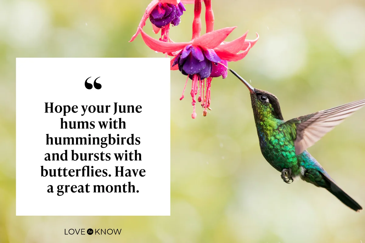 Hope your June hums with hummingbirds and bursts with butterflies. Have a great month.