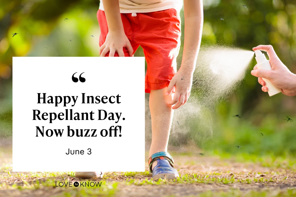 Happy Insect Repellant Day. Now buzz off!