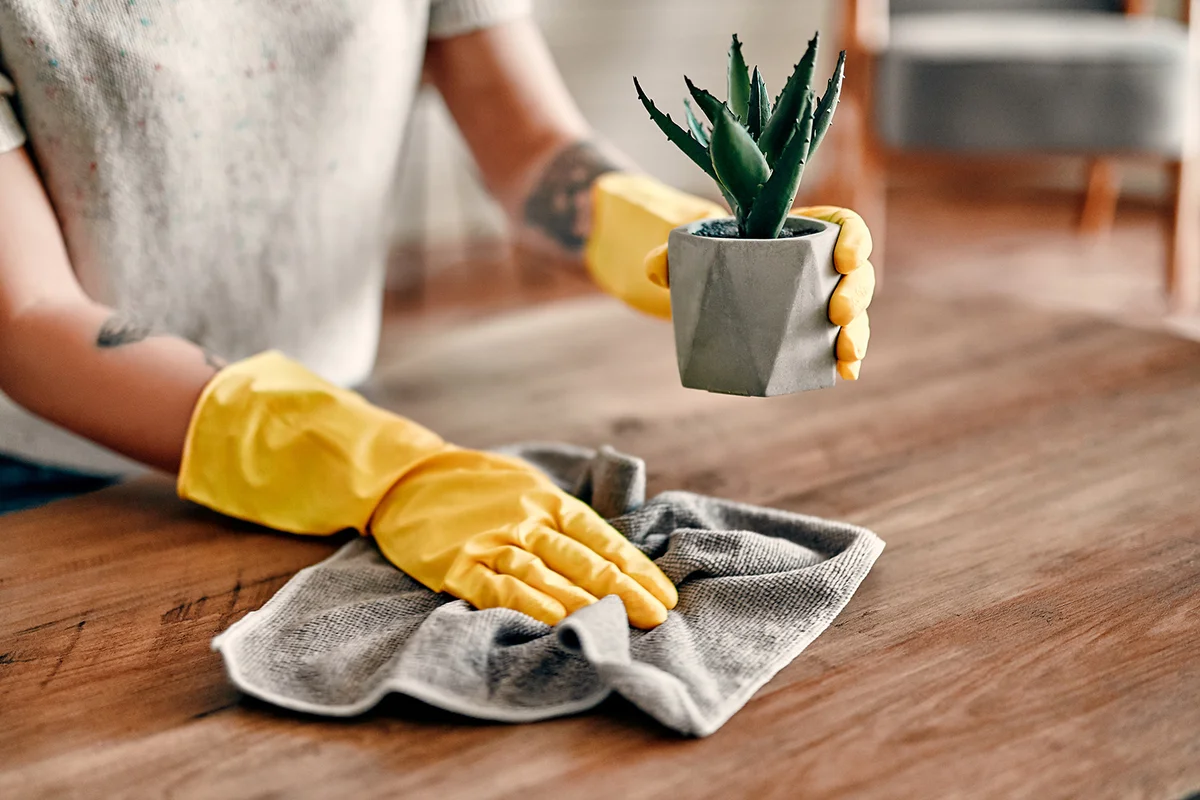 Woman in protective gloves wiping dust