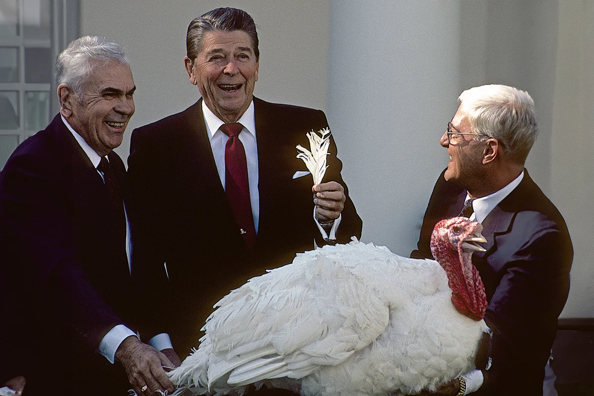 Washington DC. USA, 16th November, 1984 President Ronald Reagan pardons the thanksgiving turkey during ceremony in the Rose Garden