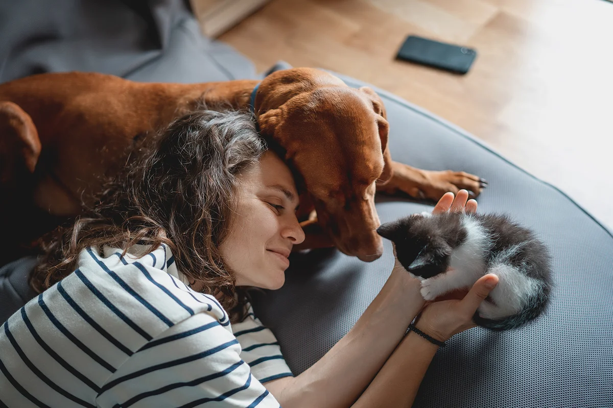Portrait of a young woman with a Hungarian Pointer dog and a small kitten in her arms lying at home