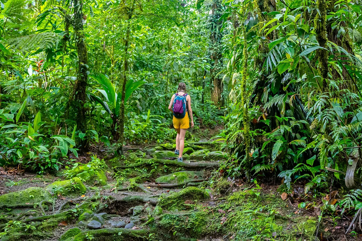 Woman walks through dense tropical rainforest
