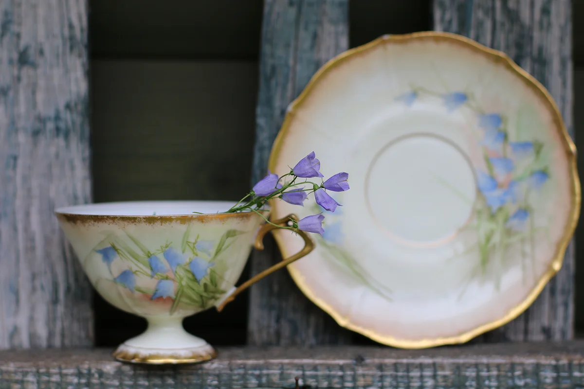 Old china cup with saucer, pattern "blue bells"