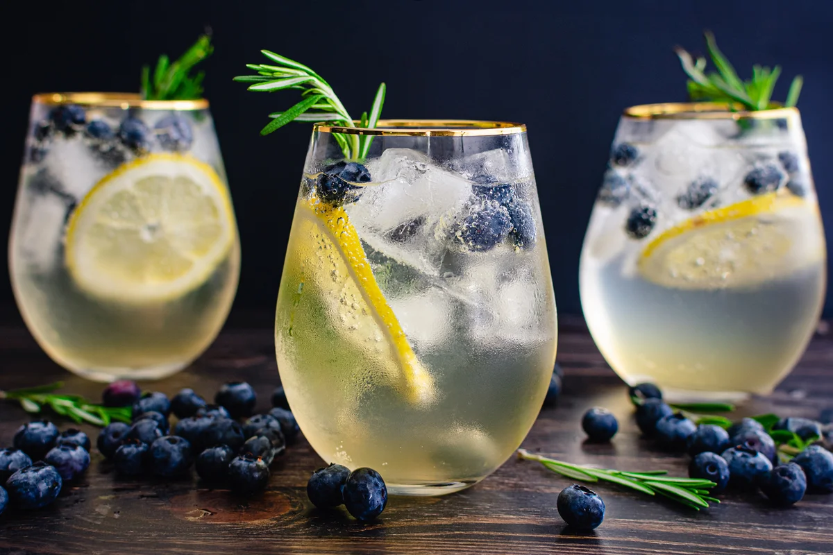 Lemon Blueberry Vodka Spritzer Cocktails