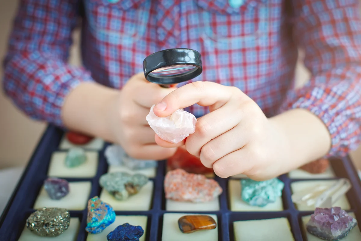 The child looks at his collection of minerals.