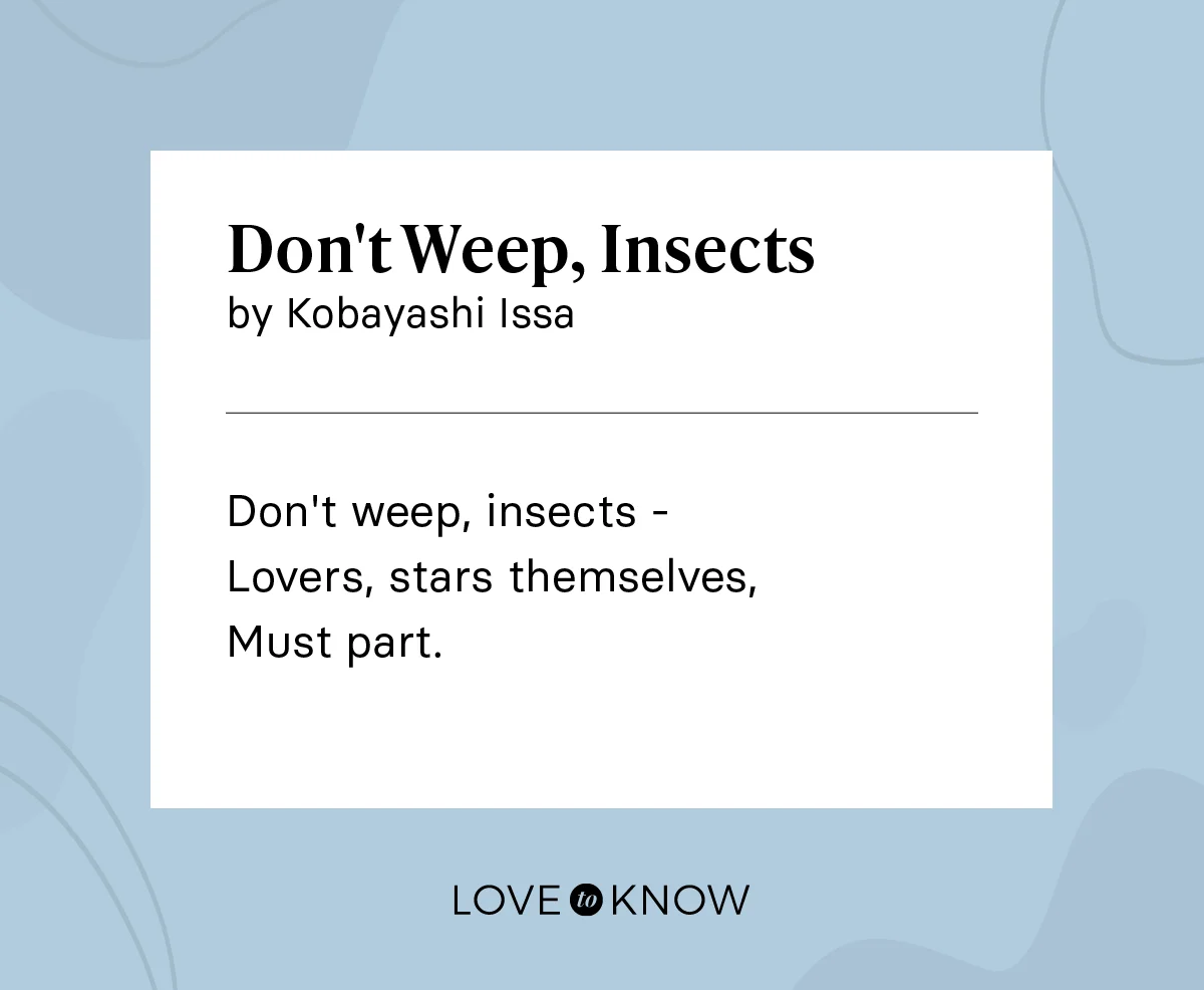 Don't Weep, Insects by Kobayashi Issa
