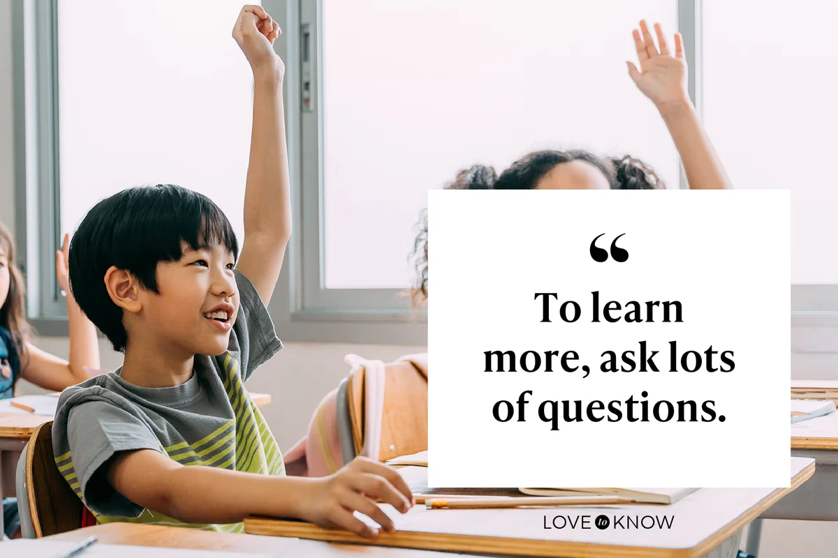 To learn more, ask lots of questions.