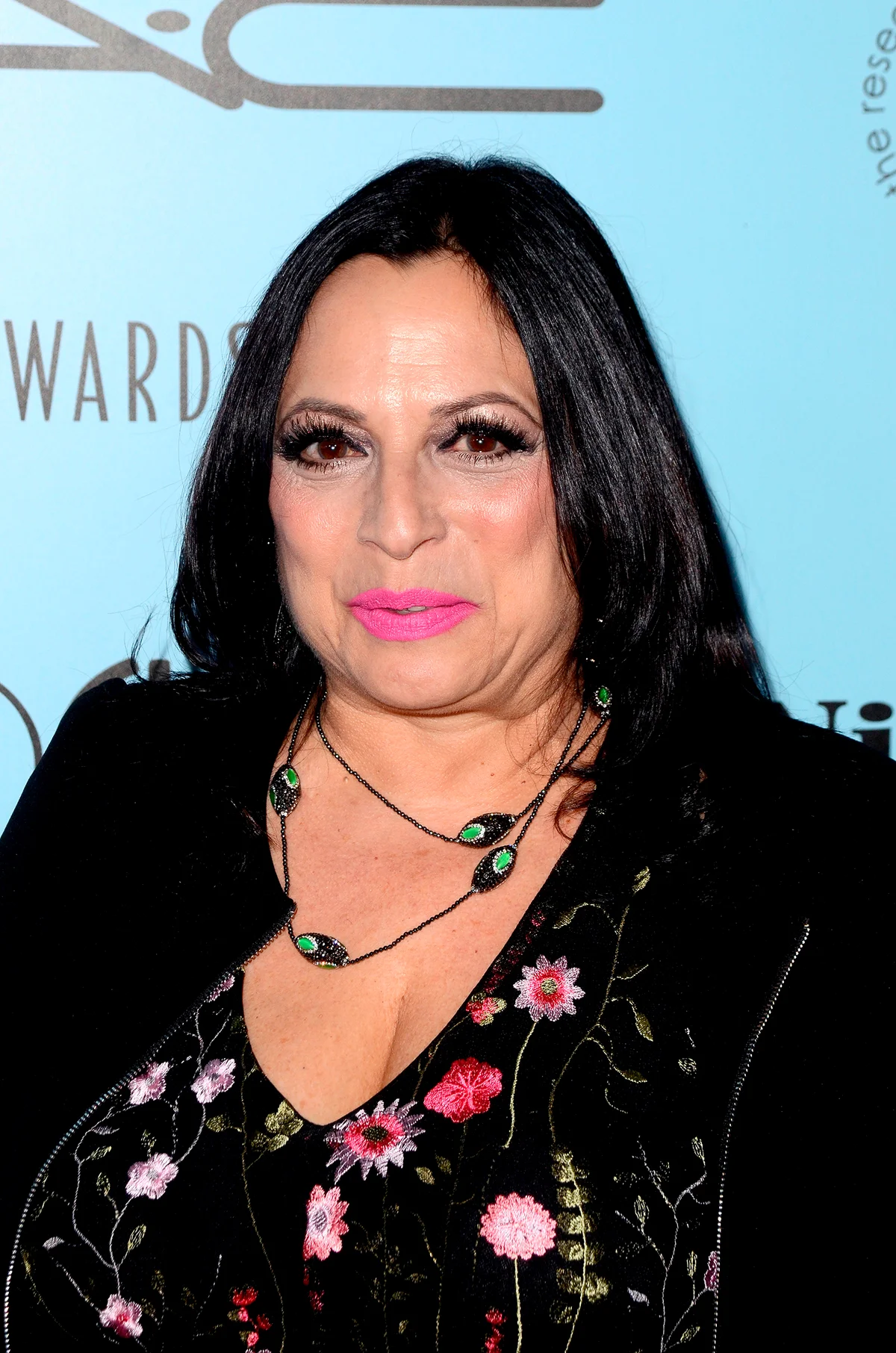 LOS ANGELES - FEB 24: Ronnie Spector at the 2018 Make-Up Artists and Hair Stylists Awards at the Novo Theater on February 24, 2018 in Los Angeles, CA