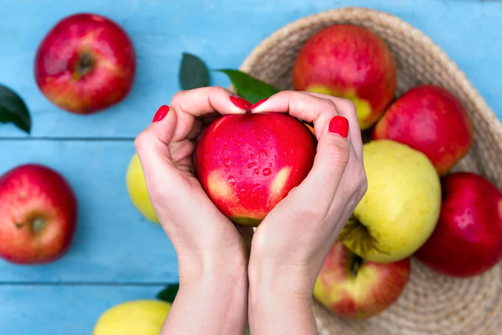 Red apple in a young woman's hands on a bright blue background