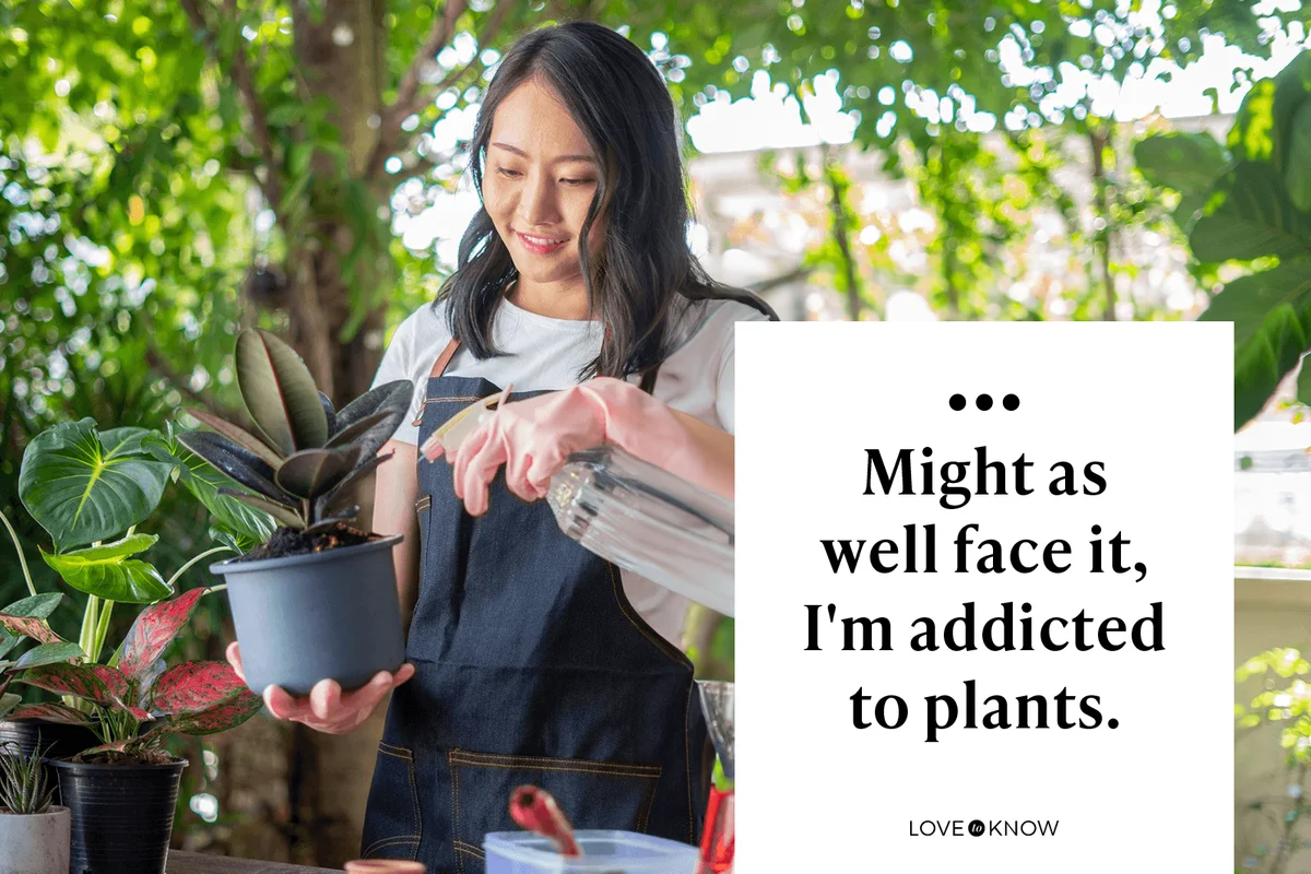 Might as well face it, I'm addicted to plants.