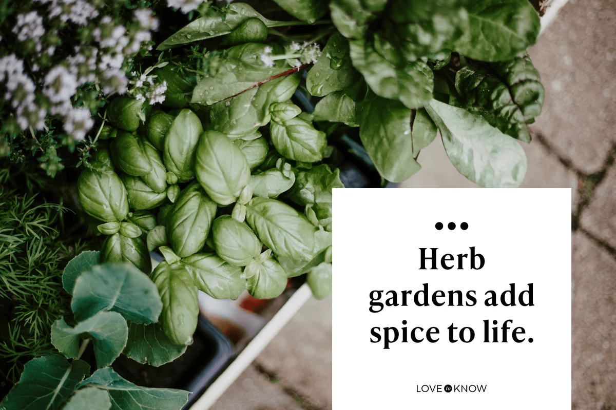 Herb gardens add spice to life.