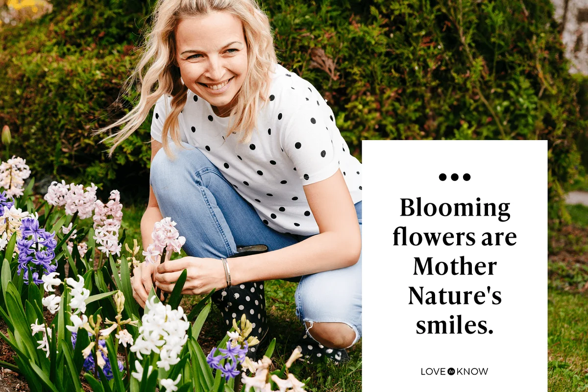 Blooming flowers are Mother Nature's smiles.