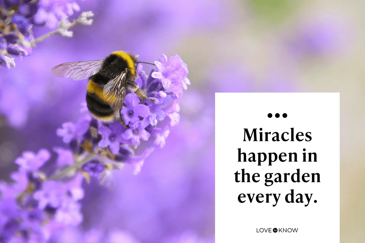Miracles happen in the garden every day.