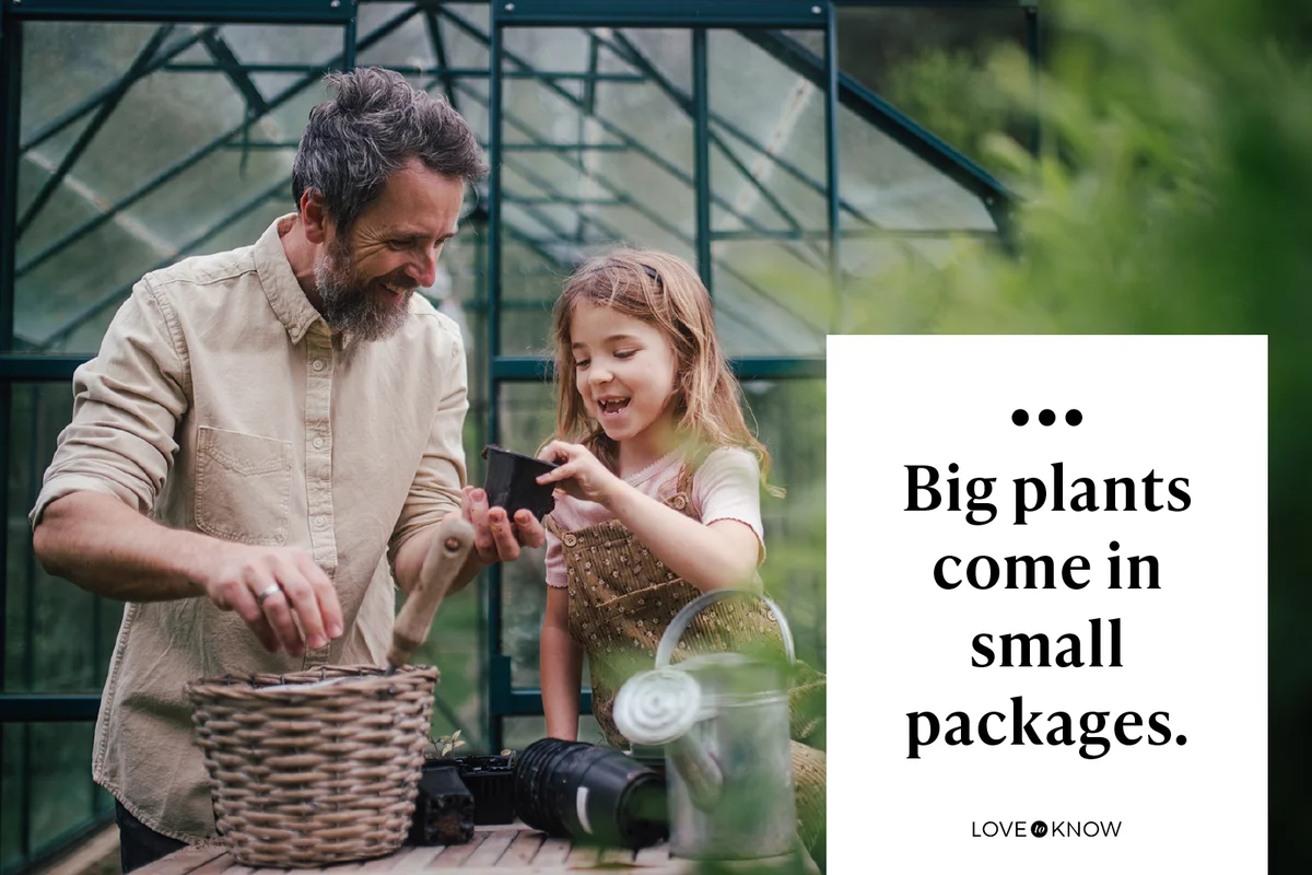 Big plants come in small packages.