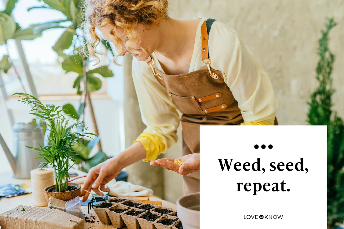 Weed, seed, repeat.