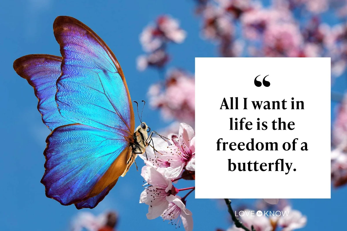 All I want in life is the freedom of a butterfly.