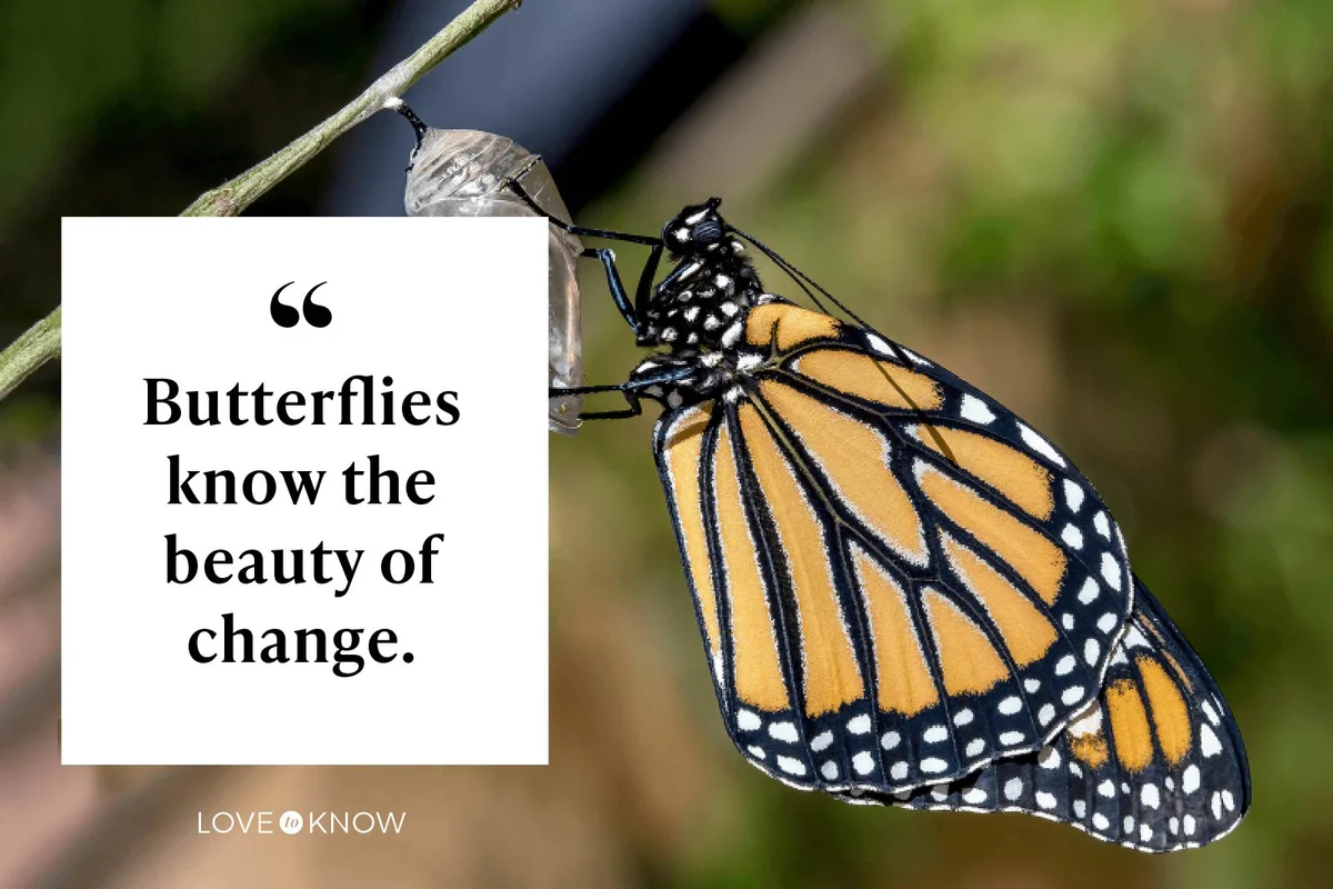 Butterflies know the beauty of change.