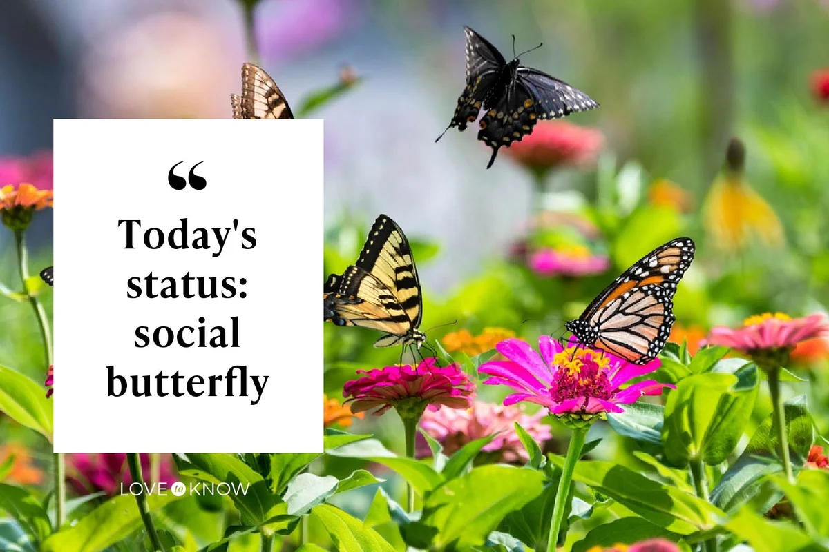 Today's status: social butterfly