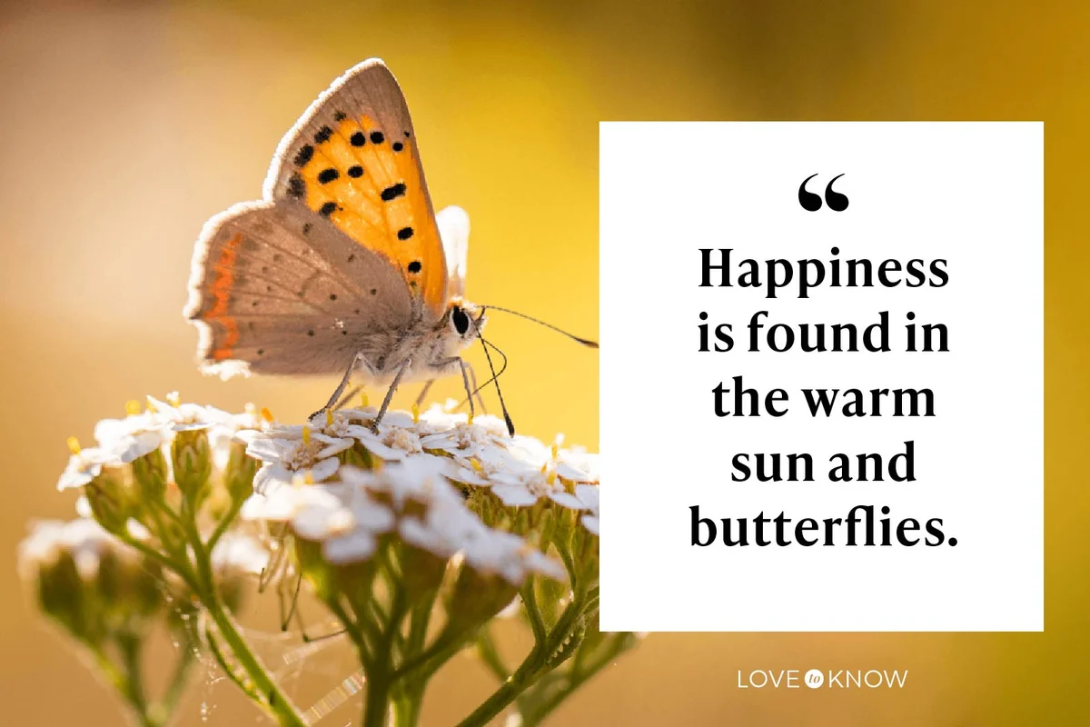Happiness is found in the warm sun and butterflies.