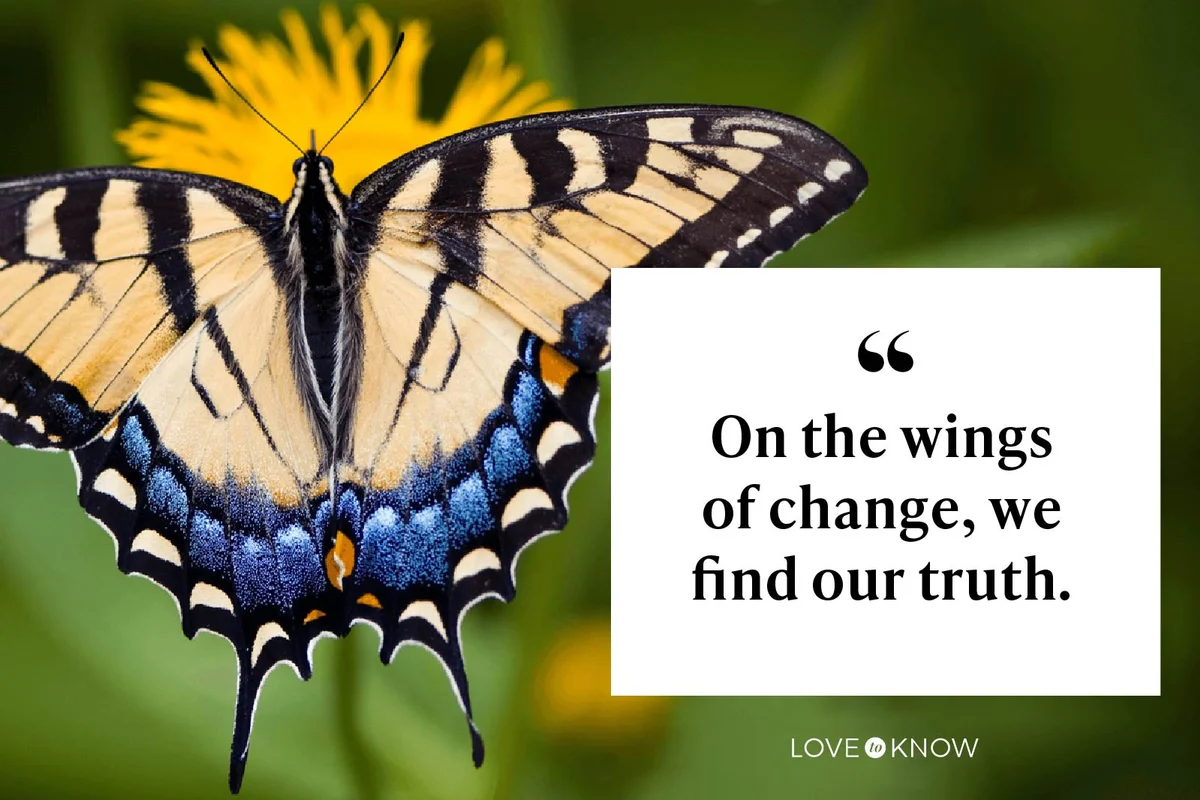 On the wings of change, we find our truth.