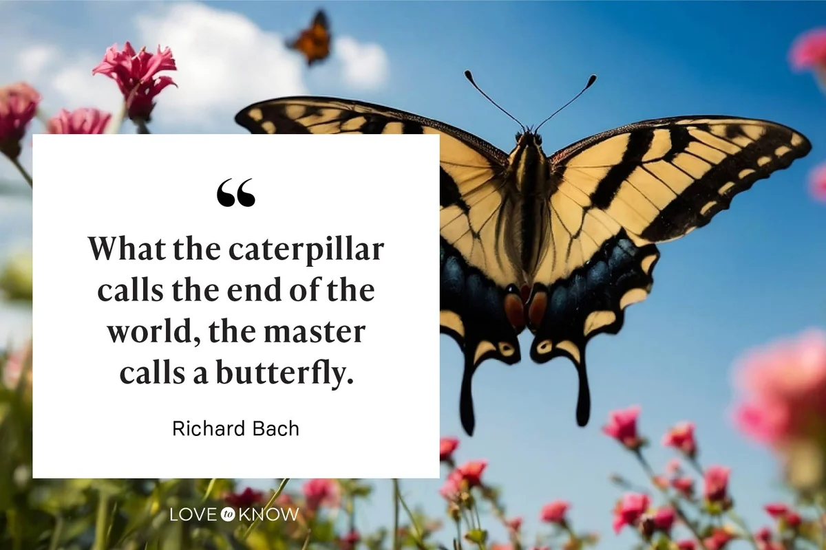 "What the caterpillar calls the end of the world, the master calls a butterfly." - Richard Bach