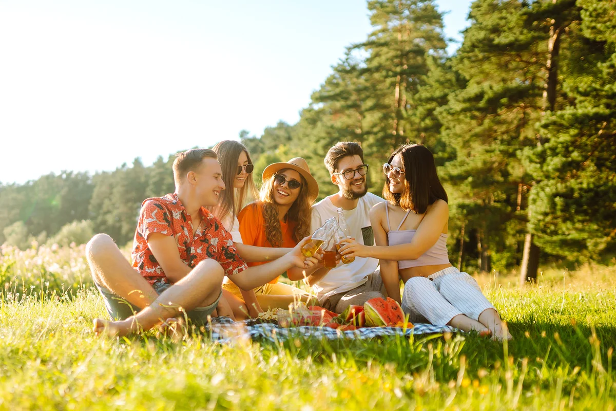 Cheerful company on sunny meadow at picnic is resting, drinking beer, cheers.