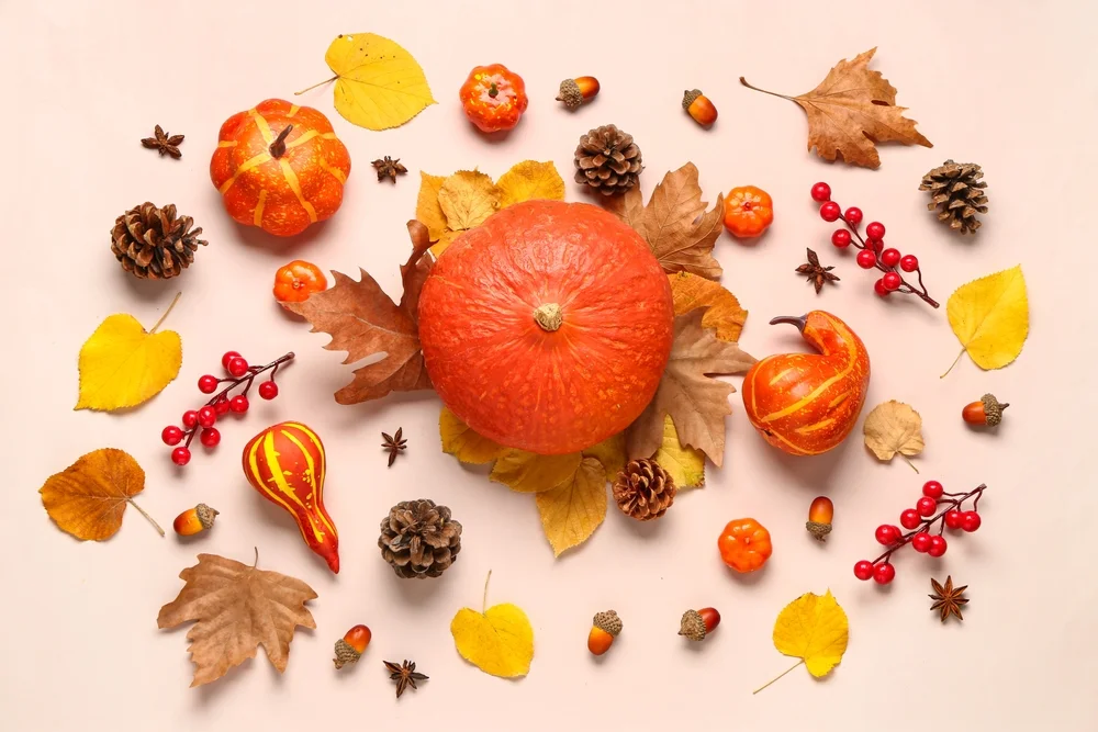 fall pumpkins