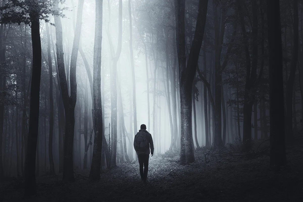 man in dark woods at night
