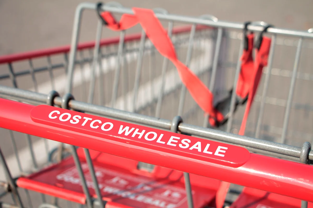 costco wholesale red silver shopping cart close up on costco wholesale writing caption text on handle close up in summer shot on angle