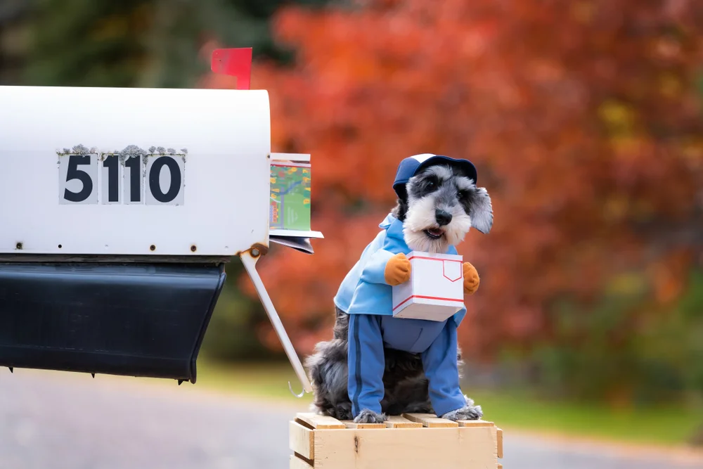 dog mailman costume