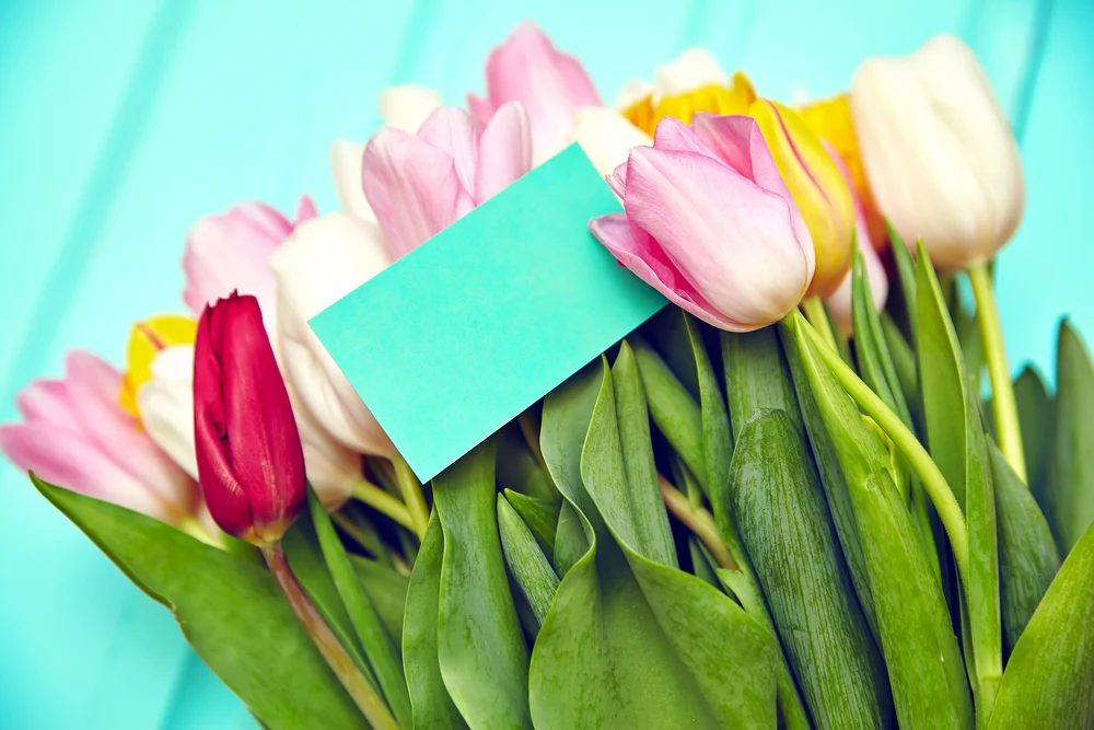 tulips with a note