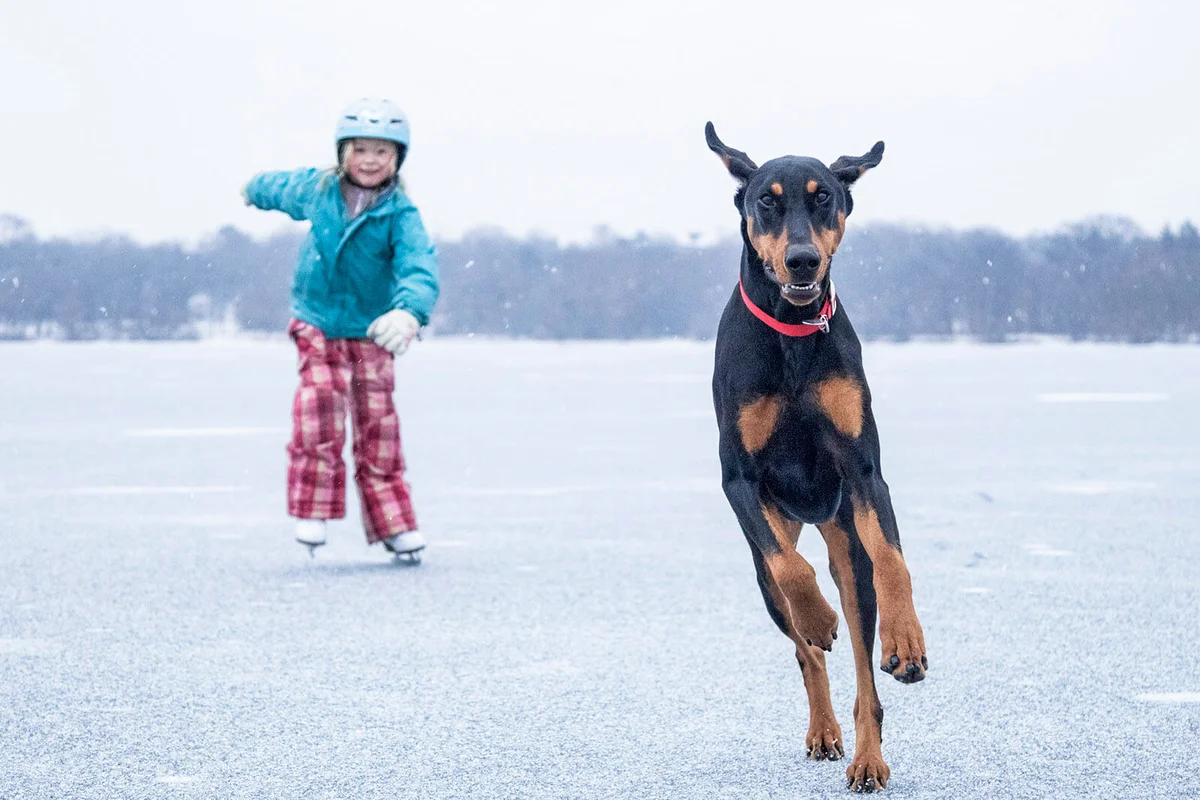 A young girl and her dog ice skating