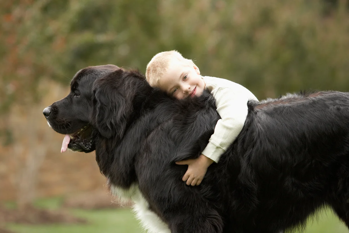 Boy hugging black Newfoundland outdoors