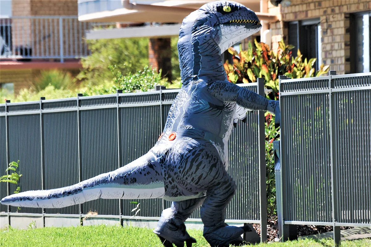 Dinosaur Costume