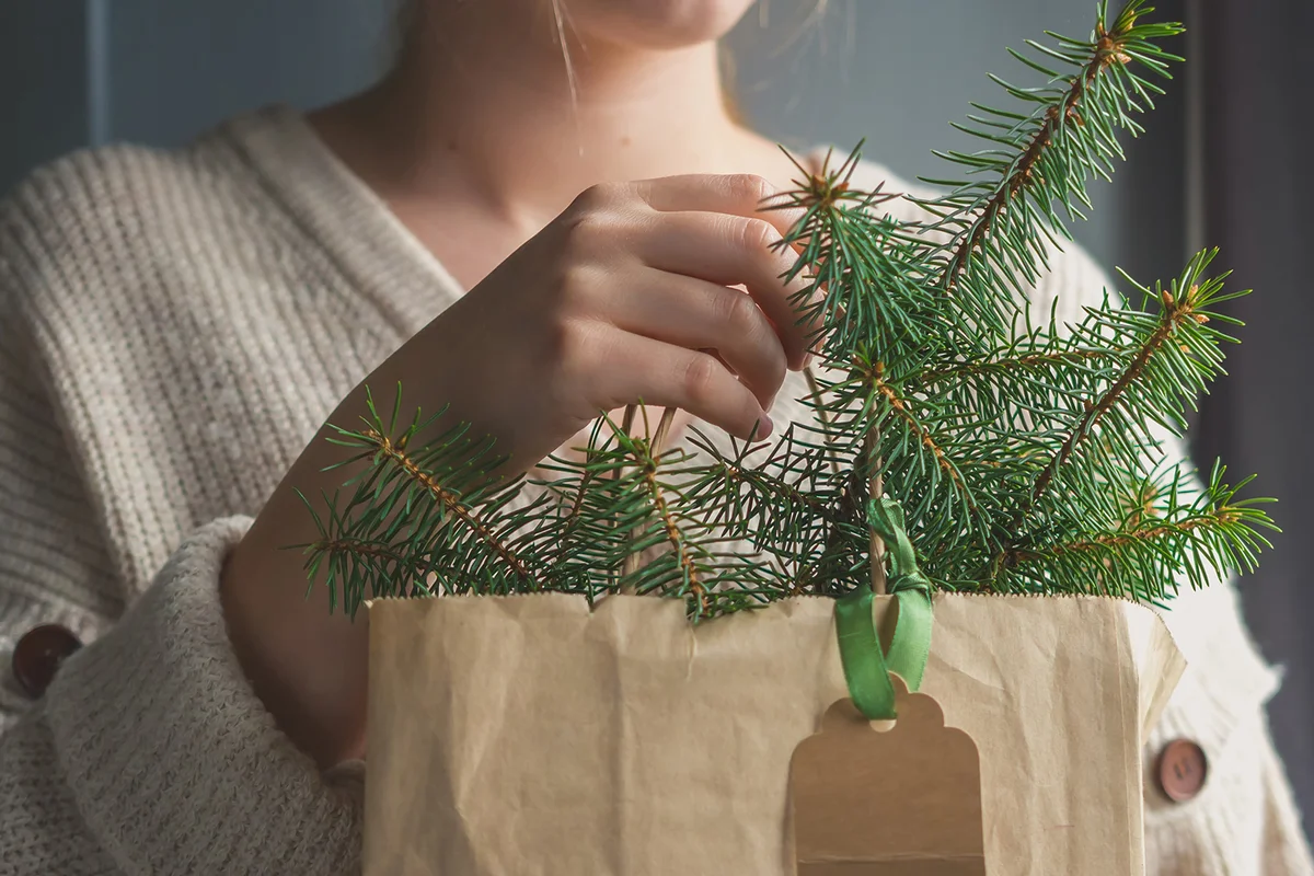 gift wrapping craft paper fir branches