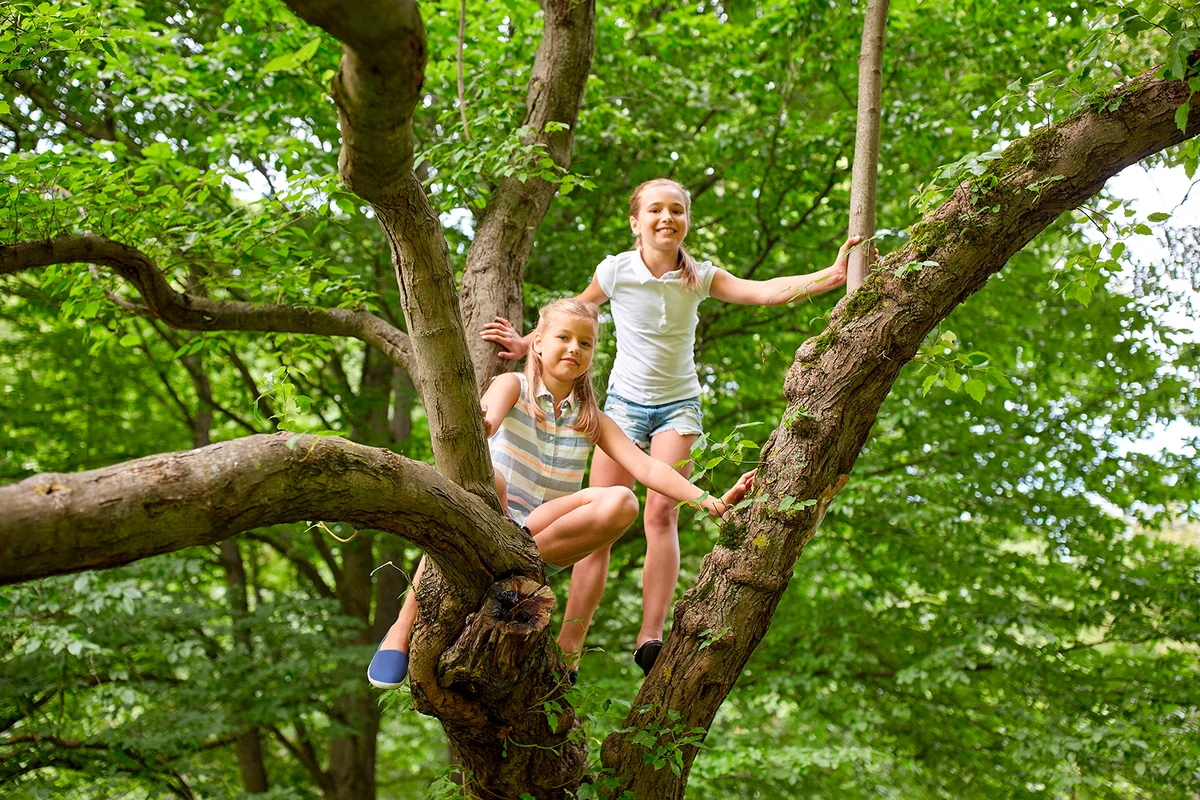 friendship, childhood, leisure and people concept - two happy girls climbing up tree and having fun in summer park